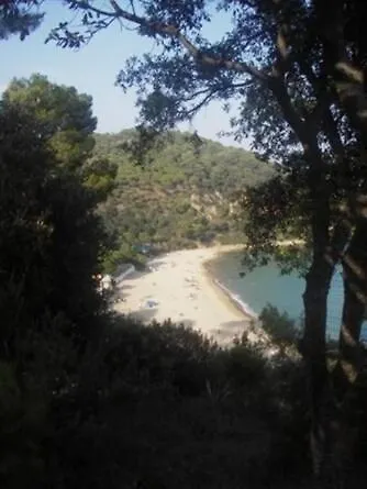 Estudio Un Solo Ambiente Centrico Muy Cerca De La Playa Con Piscina Y Terraza Appartement *